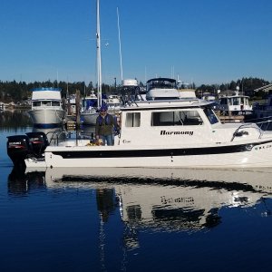 Media 'With first mate Honeybear, Shelter Bay' in album 'Public dock, downtown La Conner'