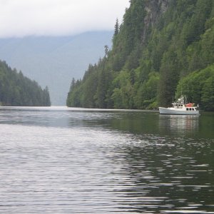 Bottleneck Inlet, Central BC coast looking west towards the entrance