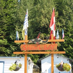 Shawl Bay, Broughtons, BC