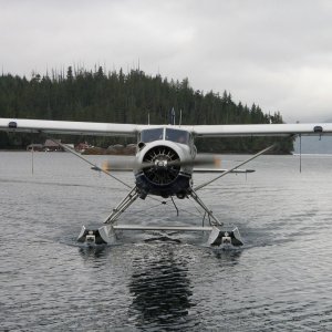 Float plane arriving at Shawl Bay