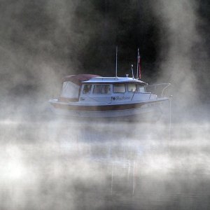 (Pat Anderson) Daydream awakening early in the morning in a cove.