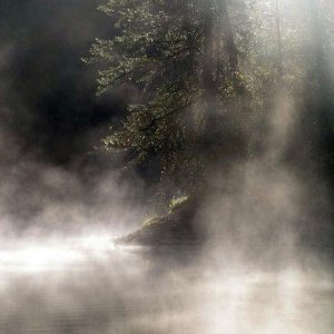 (Pat Anderson)