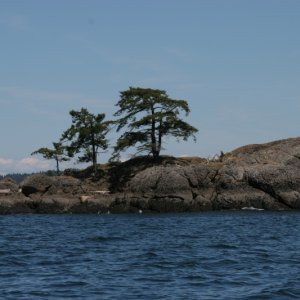 Media 'Bell Chain Islands' in album 'Gulf Islands Cruise
Annette Inlet Sunset'