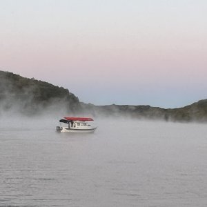 Little Joe in foggy Neville Bay