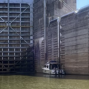 Mystery Girl on approach wall waiting for lockage at Old Hickory