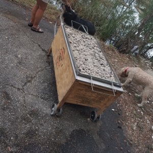La Caja China Pig Box