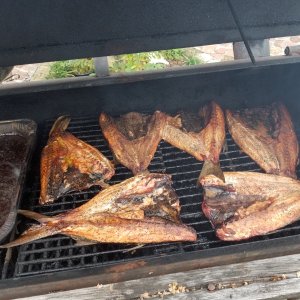 Smoked Mullet