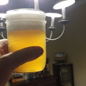 Media 'Hermine sour homebrew' in album 'Because of the fun that all of this had this year at Apalachicola, watching the dogs--this is the title photo!'