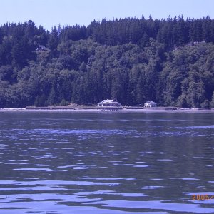 (Fishtales) Wouldn't mind living here