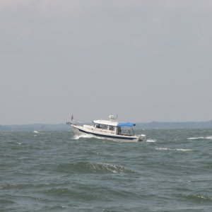 ALMA's ONLY riding 4-6' waves heading South to Va. Beach; with North winds.
Tue 06 Jun 2006 01:08:03 PM CDT