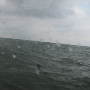 OPS! Here we go again!

Tue 06 Jun 2006 10:52:43 AM CDT