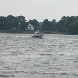 "ALMA'S ONLY" leaving Reedville, VA
Tue 06 Jun 2006 09:30:42 AM CDT