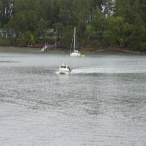Coming into the dock