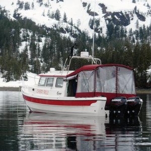 Media '' in album 'Prince William Sound, AK - May 2-3, 2008'