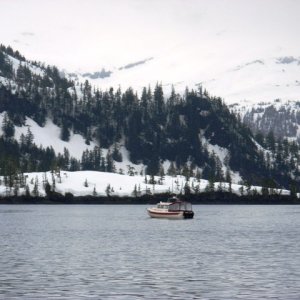 Media '' in album 'Prince William Sound, AK - May 2-3, 2008'