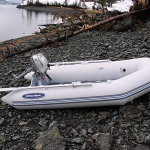 Media '' in album 'Prince William Sound, AK - May 2-3, 2008'