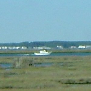 Media 'Chincoteague Dory' in album '87 footer'
