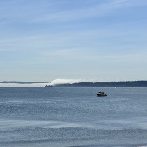 IMG 1455