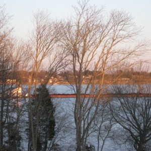 Coal barge behind the house on the river