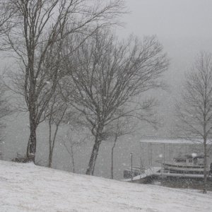 big flakes
