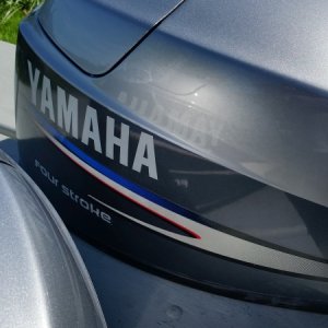 New paint, Tundra Silver, and new custom line design.  Nice clearcoat reflectivity.
