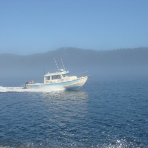 Media 'Running in fog' in album 'Jones Island'