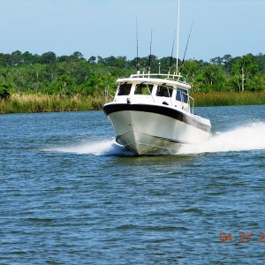 Orca Running H.R. 1