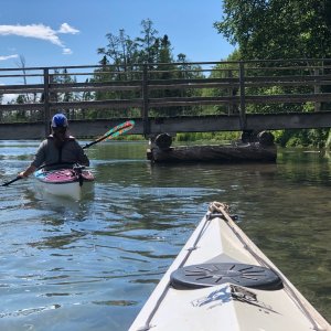 Lining up to duck under the bridge and enter Big Bay Lagoon/Bog