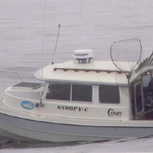 doryucluelet.jpg