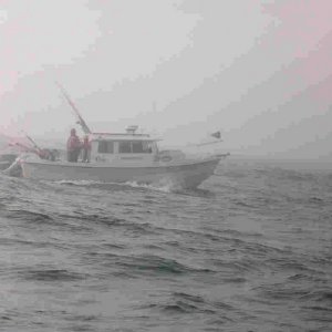 Gone Fishing