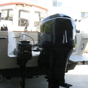 IMG 0676