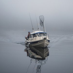 Out of the fog