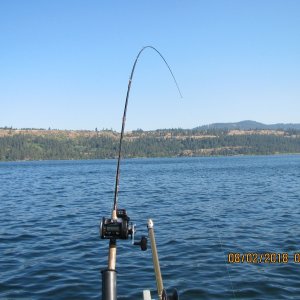 Fishing