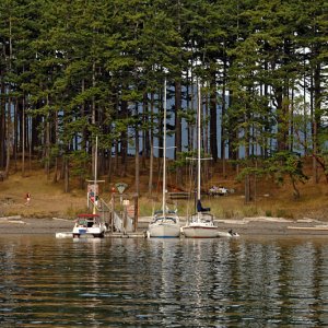 4423 James Island public dock and float