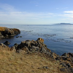 4466 James Island shoreline
