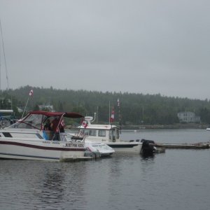 IMG 0946