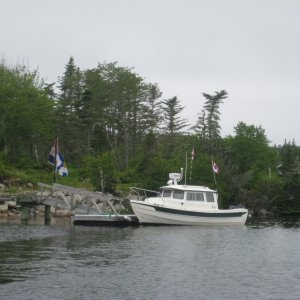 IMG 0954