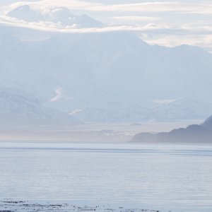 Brady Glacier