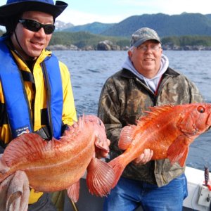 Media 'a couple of nice yellow eye' in album 'Brady Glacier'
