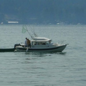 Media 'DSCN1178' in album 'Eastern Bank Halibut, caught on the Susan E'