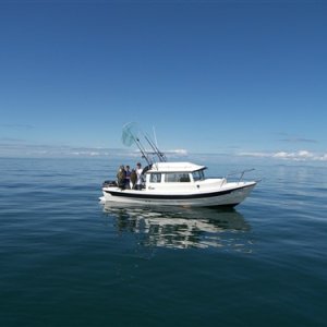 4/22 Straight of Jaun De Fuca,halibut fishing, absolutely great weather out there.