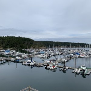 Friday Harbor