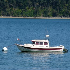 Holmes Harbor