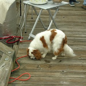Lopez 07. First to the food table