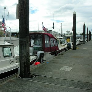 Dock on Dories