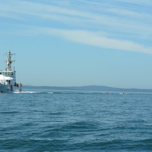 Kayaks chasing Coastie