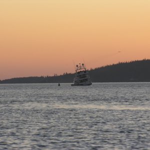Swinomish Channel. Looks like an Oooops!