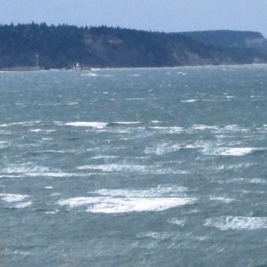 Media 'Nasty' in album 'Holmes Harbor'