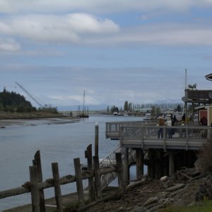 Looking north up the slough