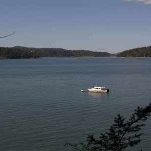 On the buoy on north side of Hope Island